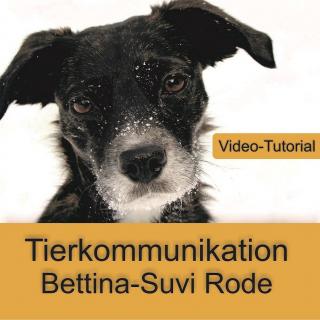Tierkommunikation